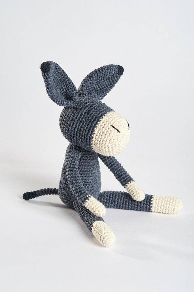 Roque the Donkey