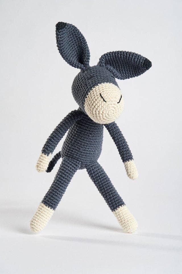 Roque the Donkey