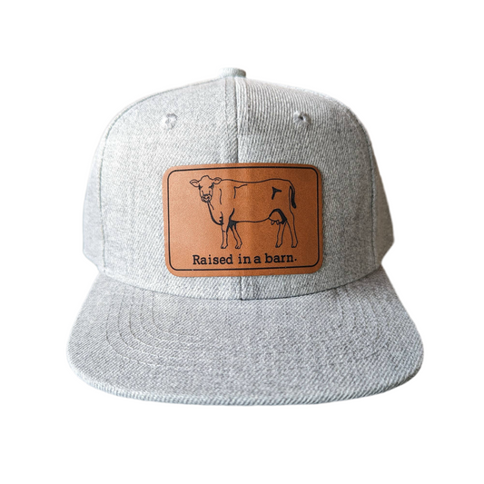 Heather Grey "Raised in a barn" Trucker Hat