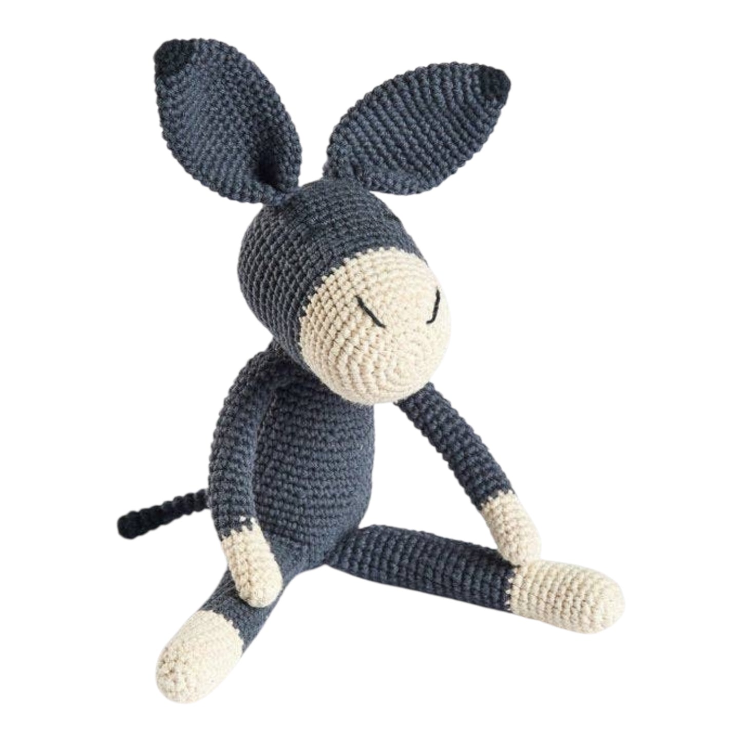 Roque the Donkey