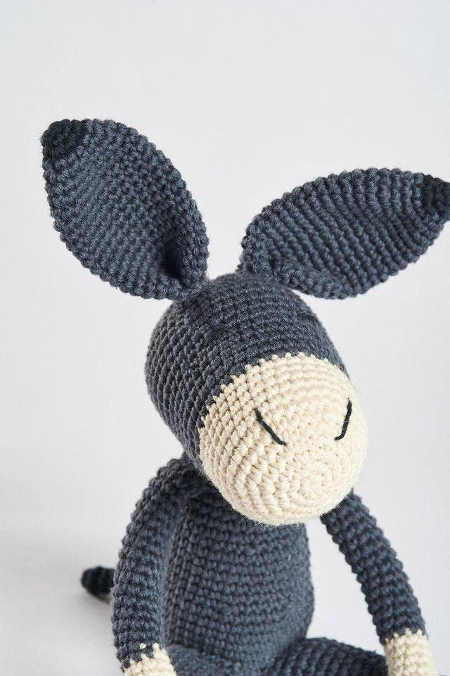 Roque the Donkey