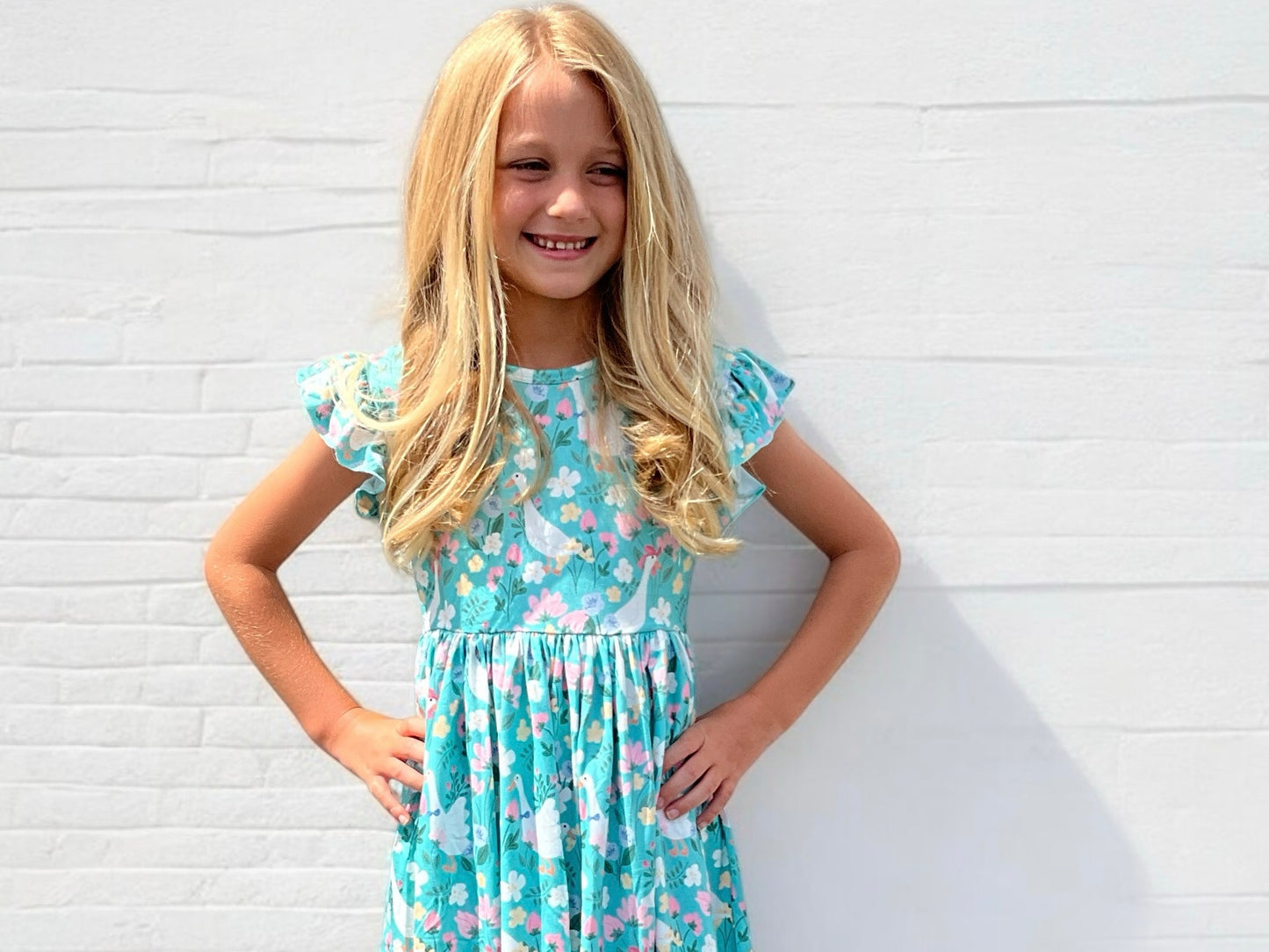 Silly Goose Twirl Dress