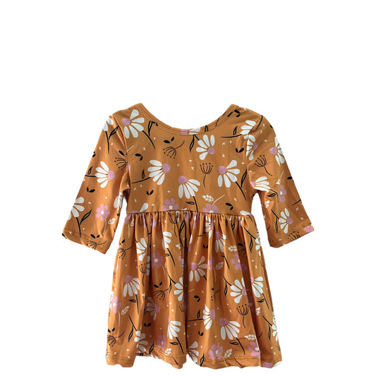 Mila & Rose Dandelions in Fall Twirl Dress